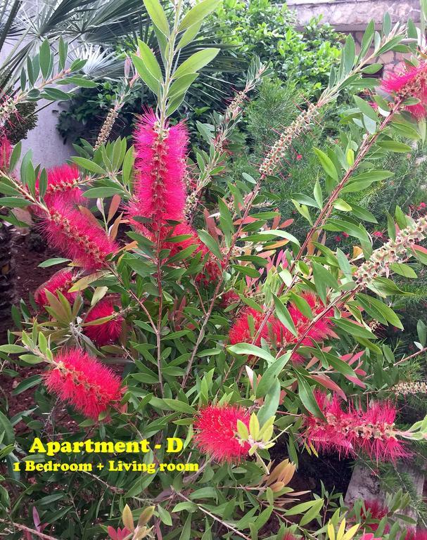 Mi Apartment 斯塔里格勒 外观 照片